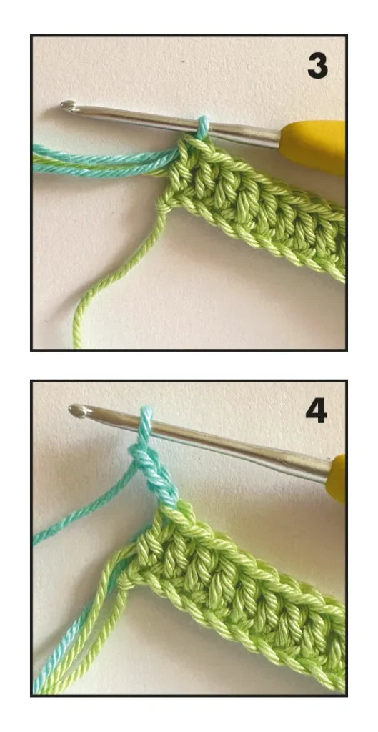 Molly the Cat Amigurumi Crochet Pattern | Easy Feline Plushie Digital PDF | Beginner Friendly Kitty Toy Tutorial